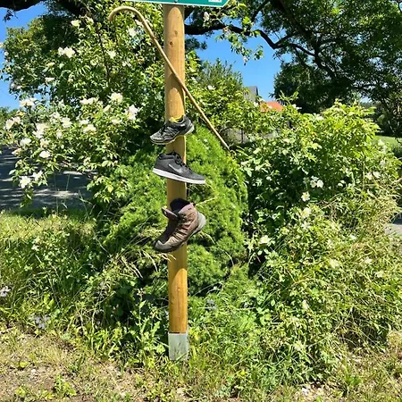 Ingrid Gemuetliches Im Gruenen * Eichigt