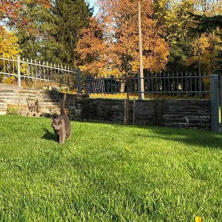 Ingrid Gemuetliches Im Gruenen Vakantiehuis Eichigt