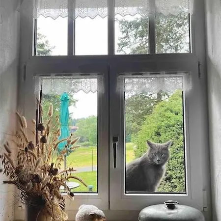 Vakantiehuis Ingrid Gemuetliches Im Gruenen *