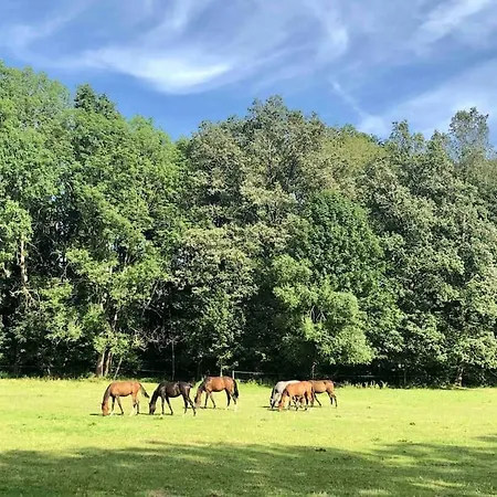 Ingrid Gemuetliches Im Gruenen *