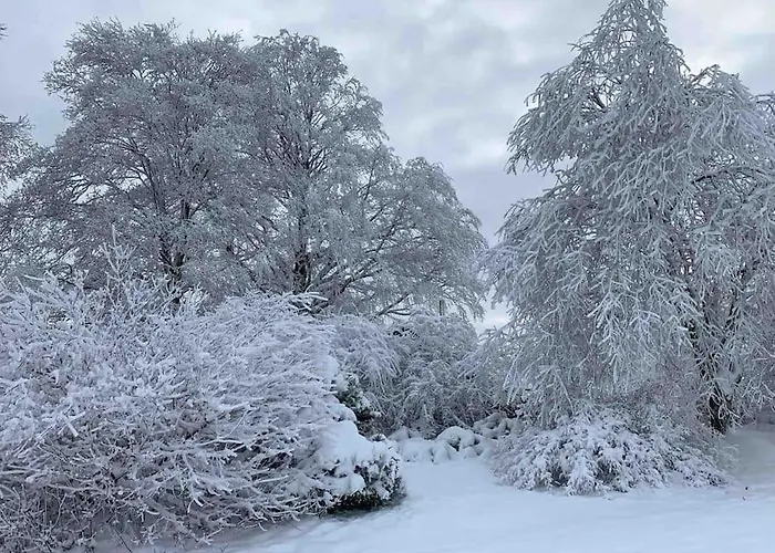 Ingrid Gemuetliches Im Gruenen *