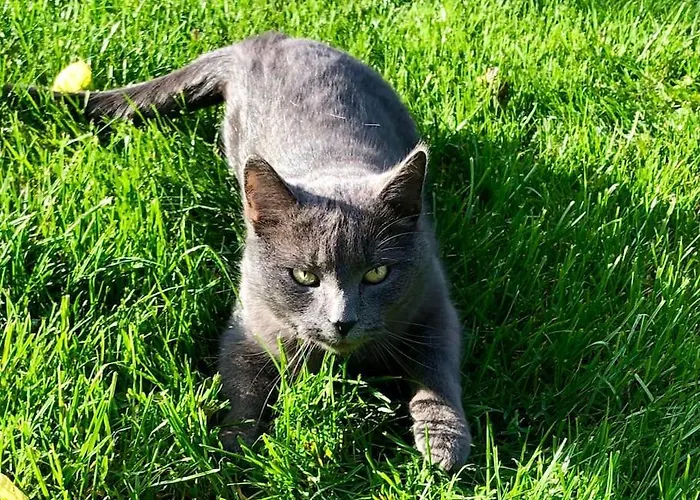 بيت للعطل Ingrid Gemuetliches Im Gruenen