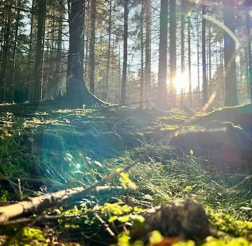 Ingrid Gemuetliches Im Gruenen بيت للعطل *