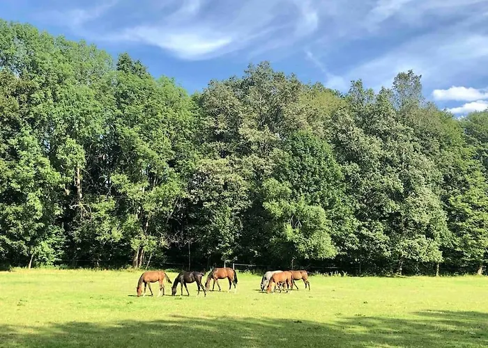 Ingrid Gemuetliches Im Gruenen *